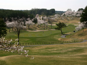 桜コース　5番ホール