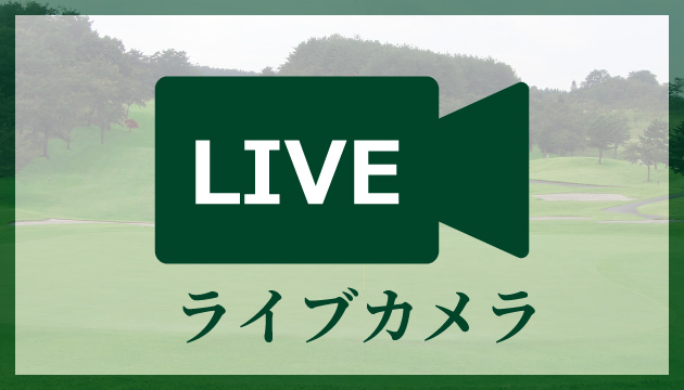 ライブカメラ