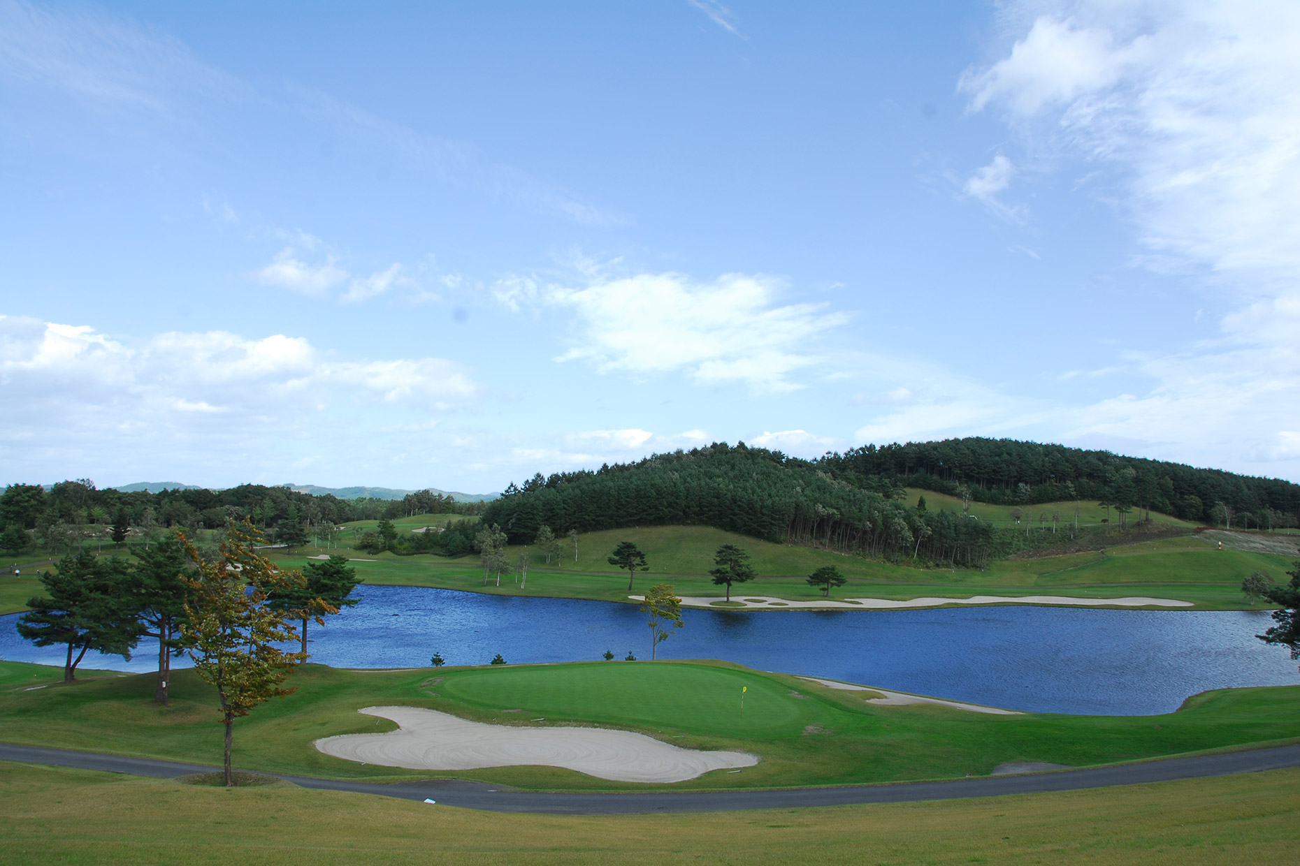 ゴルフコースでショットを打つ