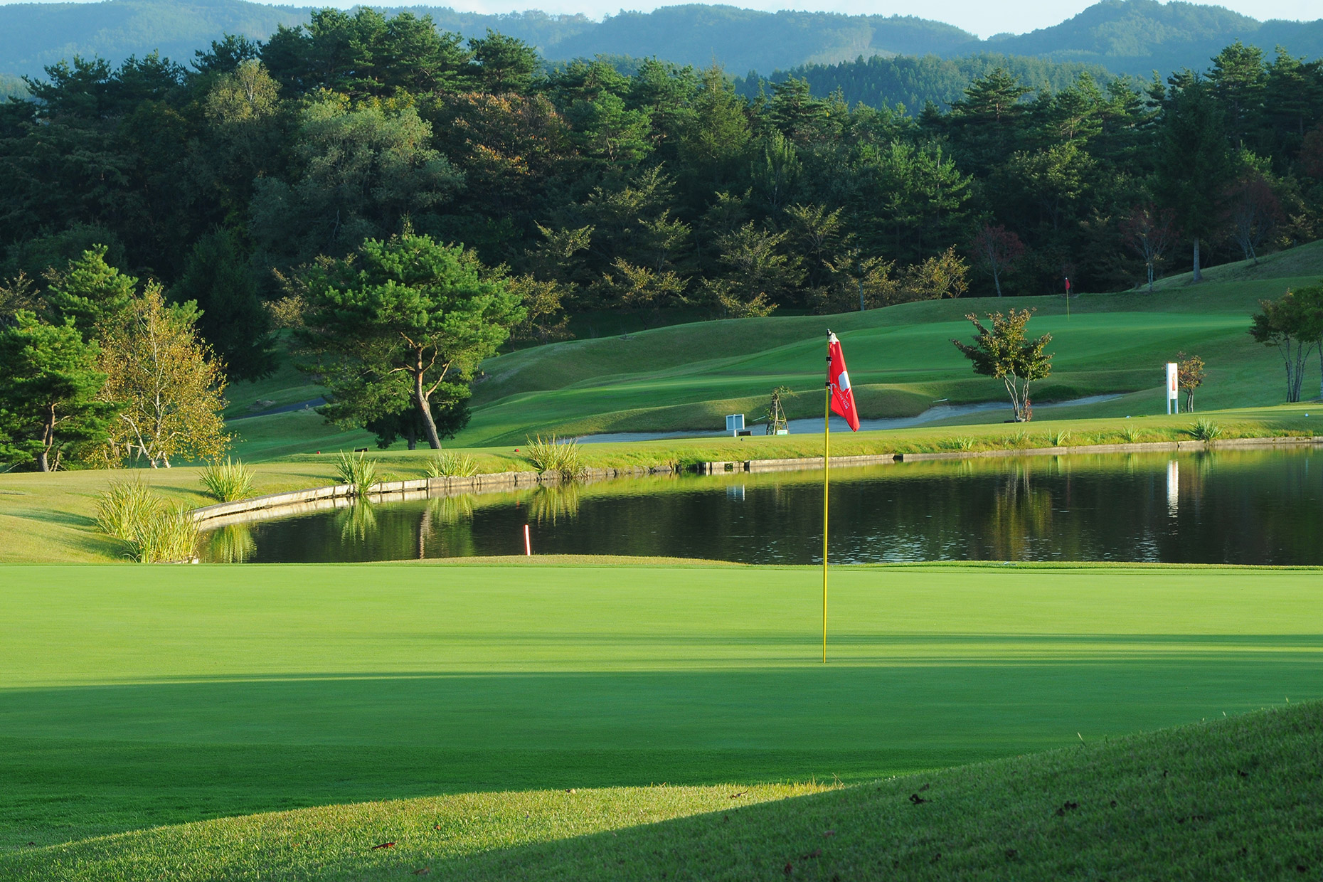 ゴルフコースとカード