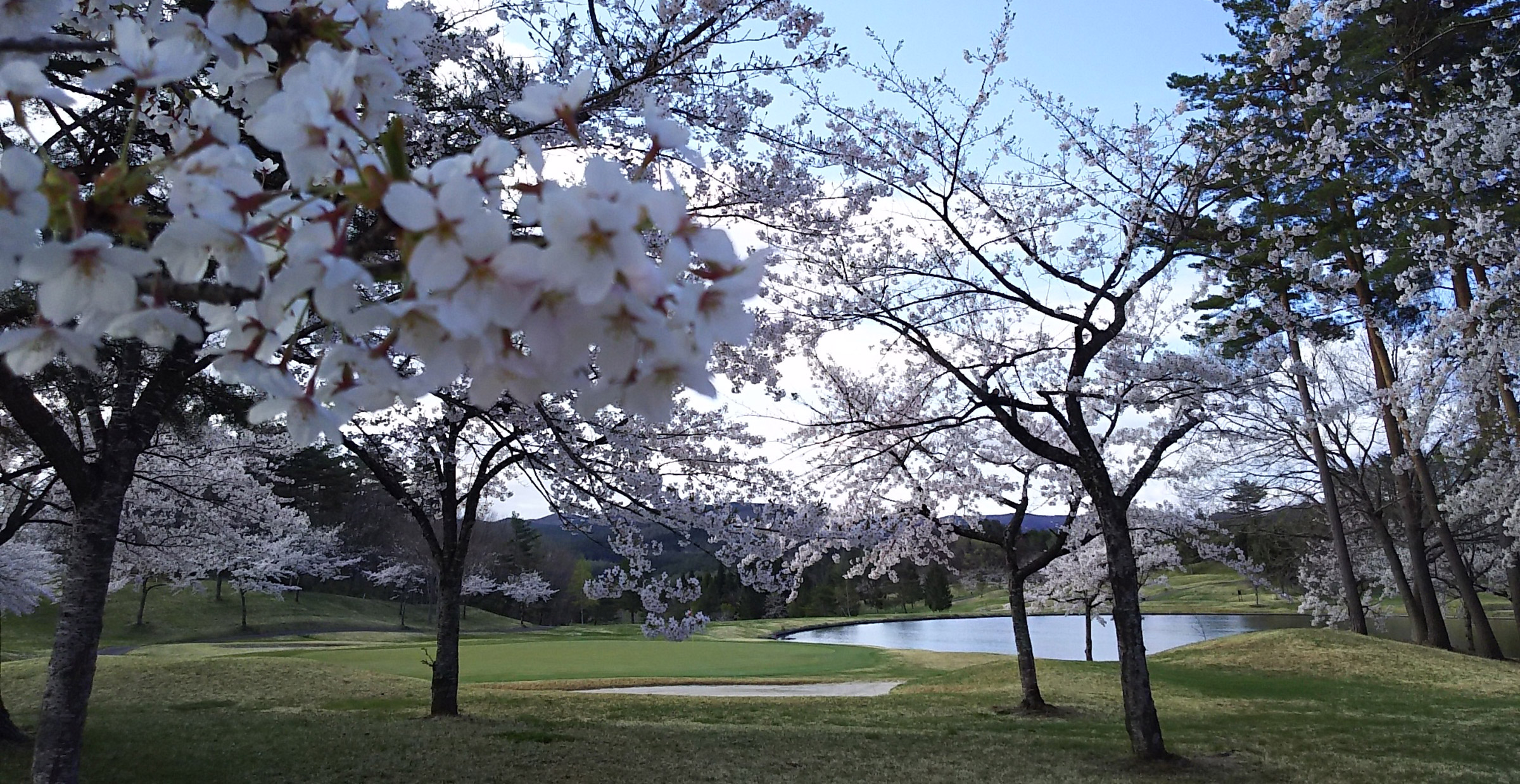 コース全景その2